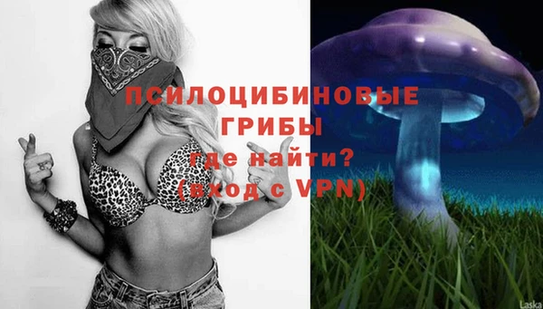 гашик Рославль